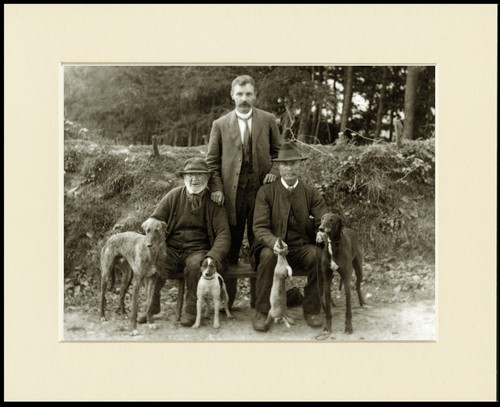 Lurcher dog art - dog, print