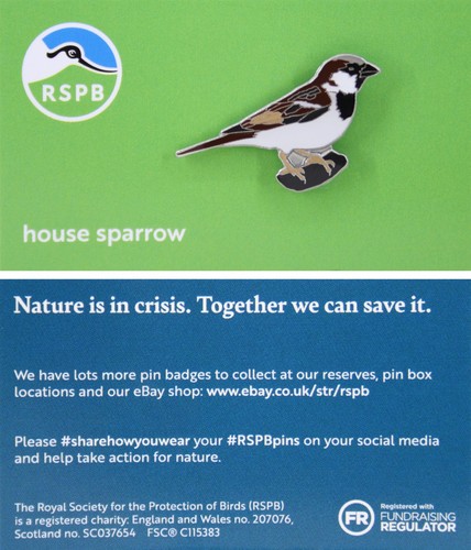 Rspb pin badge niic house - niic,