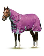 WEATHERBEETA Comfitec Premier Freedom Lite Turnout Sheet 69" Detach-A-Neck 1200D