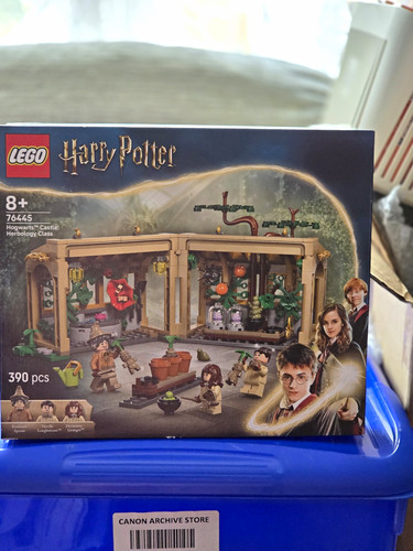 Lego harry potter 76445 - harry,