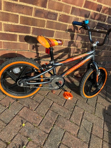 Mountain bike - mountain,