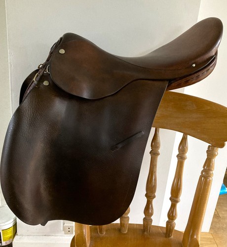 Brown working hunter - gp,