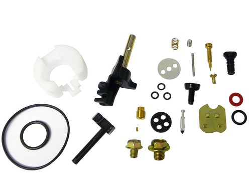 Carburettor repair kit - carburettor, fits