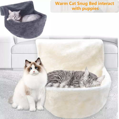 Cat kitten hanging radiator - kitten,