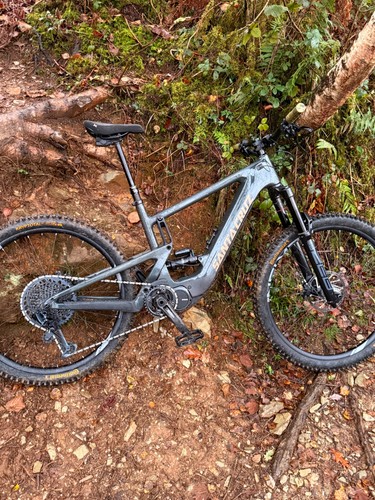 Santa cruz heckler e - cc,