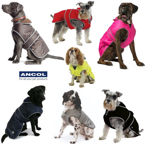 Dog coat waterproof - dog, ancol