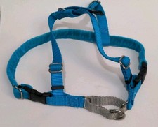 2 Hounds Design Freedom No Pull Dog Harness Turquoise Size Small 