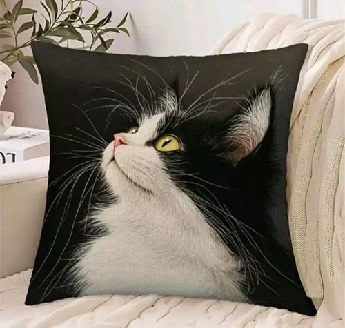 Beautiful black white - 1,