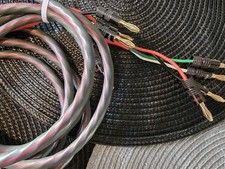 AudioQuest FLX-SLIP14/4 Quad-Conductor Speaker Cable 165cm pair, Terminated