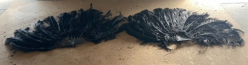 Pre loved burlesque feather