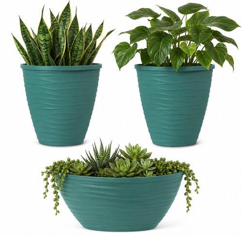 Eco friendly lagoon - friendly, teal