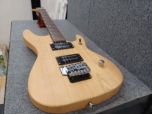 Washburn nuno electric - washburn, n2