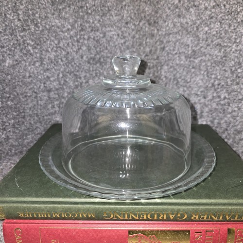 Cheese dome clear - glass, cloche
