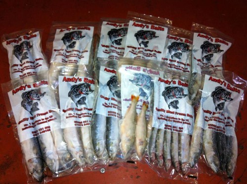 Frozen pike fishing bait - bait,