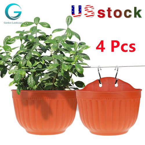 Pack wall flowers - 4,
