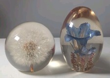 Hippocampus Floral Paperweight