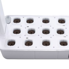 Garden Hydroponics Growing