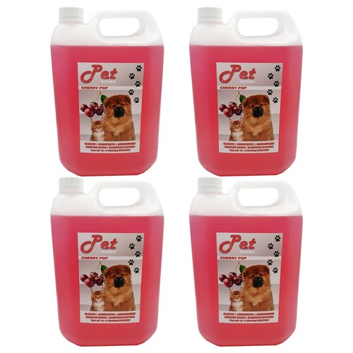 Pet cattery kennel - pet,
