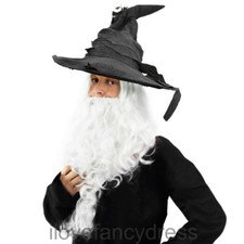 GREY WIZARD HAT WIG AND BEARD HALLOWEEN MIDDLE EARTH BOOK CHARACTER FANCY DRESS