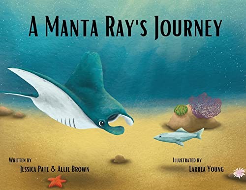Manta ray journey brown - ray's,