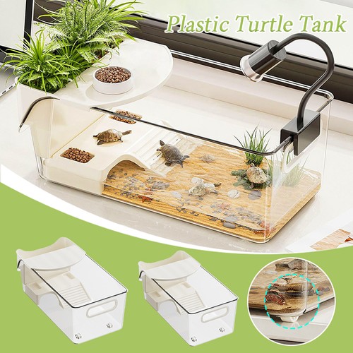 Turtle tank terrarium - turtle,