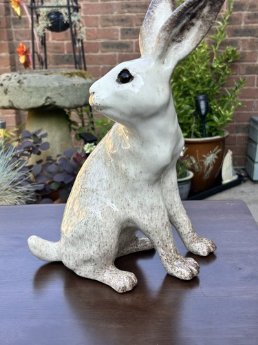 Winstanley arctic hare - winstanley,