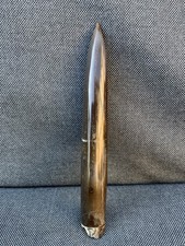 Large Fossil Belemnite