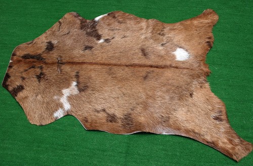 Luxury goat hide rug hair - hair, on