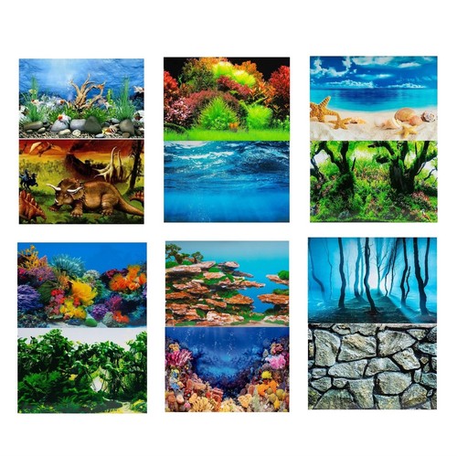 Aquarium fish tank background - fish,