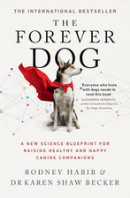 The Forever Dog: The New York