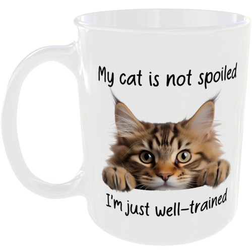 Maine coon cat mug funny - funny, breed