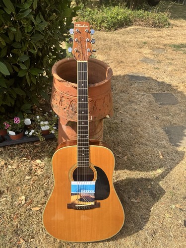 Vintage kimbara acoustic - vintage,