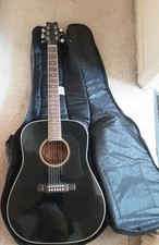 Washburn D10SB Acoustic Guitar with Ritter Gig Bag l Excellent Condition