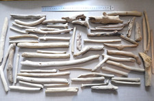 50 Pieces of Driftwood /