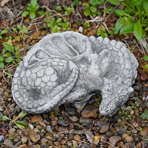 Curled dragon stone statue - dragon,