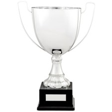 Large Silver Metal Cups Multi