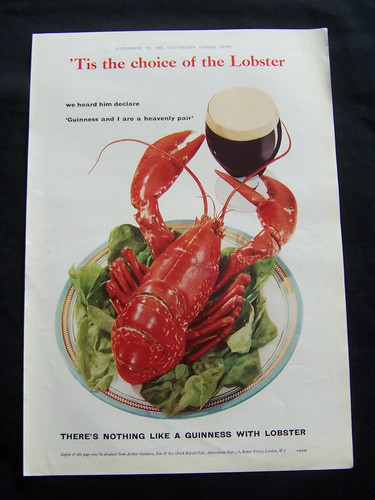 Guinness with lobster - guinness,