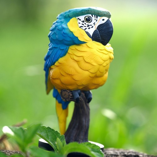 Animal heavenly body - animal,