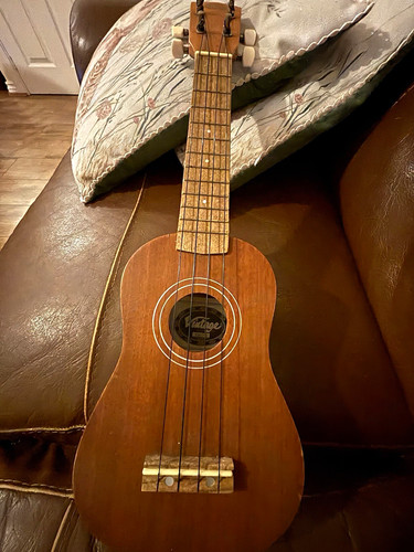 Vintage acoustic string - vintage,