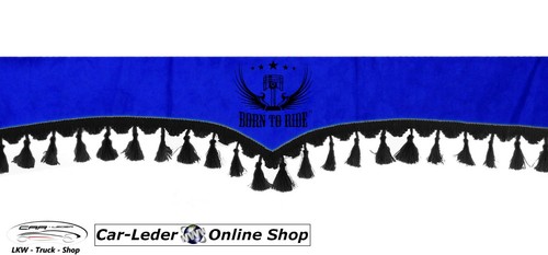 Front windshield curtains