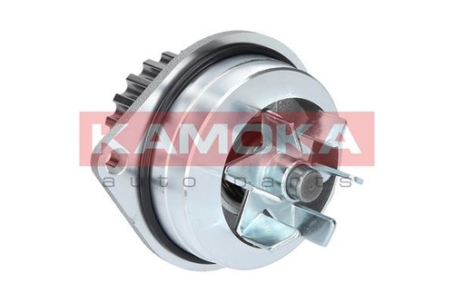 Kamoka t0079 water - water, pump