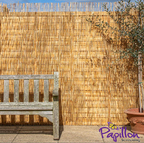 Peeled reed screening - screening, roll