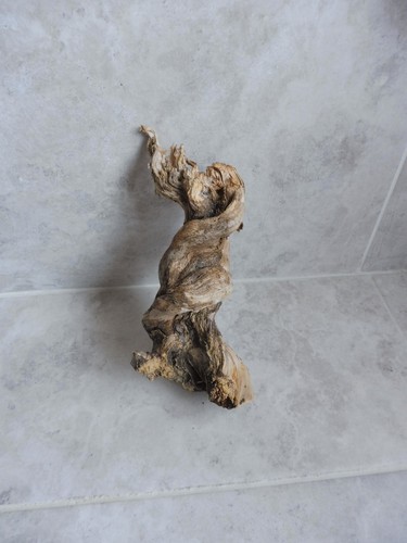 Natural Driftwood Branch??