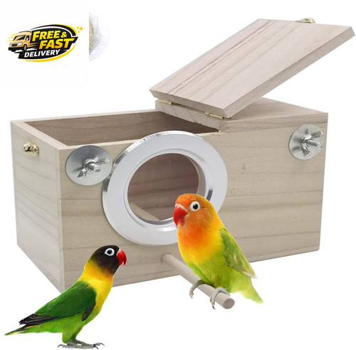 Parakeet nesting box bird - nesting,