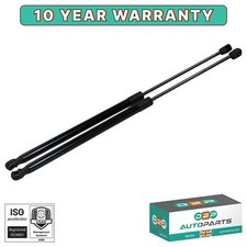 2X TAILGATE GAS STRUTS BOOT