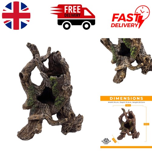 Large tree root driftwood - root,