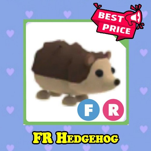 Hedgehog adopt from me - hedgehog,