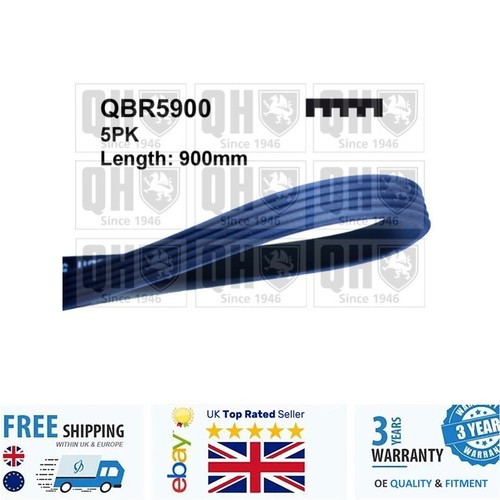 Ribbed belt for vauxhall - v,