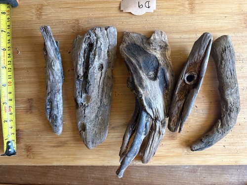 Unique medium driftwood pieces - driftwood,