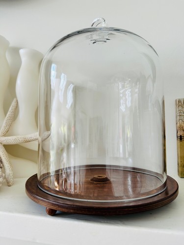 Large glass display - glass,